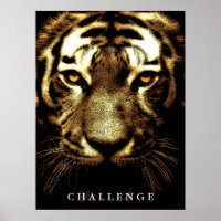 Tiger Eyes Wild Animal Art Challenge Inspirational