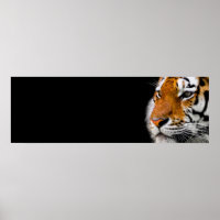 Tiger Eyes Wild Animal Art Courage Leadership