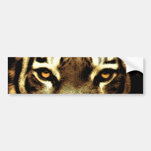 Tiger Eyes Wild Animal Photos Bumper Stickers