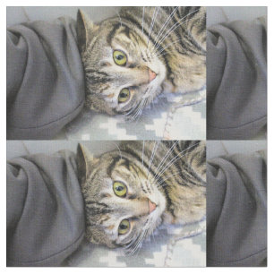Tiger Fabric