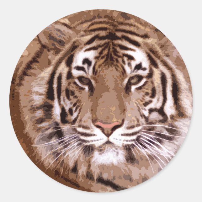 Tiger Face Classic Round Sticker (Front)
