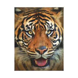 Tiger Face Close Up Painting Canvas Print