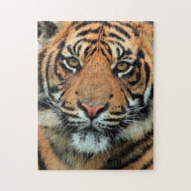 Tiger - Face Jigsaw Puzzle (Vertical)