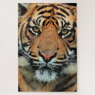 Tiger - Face - Jigsaw Puzzle