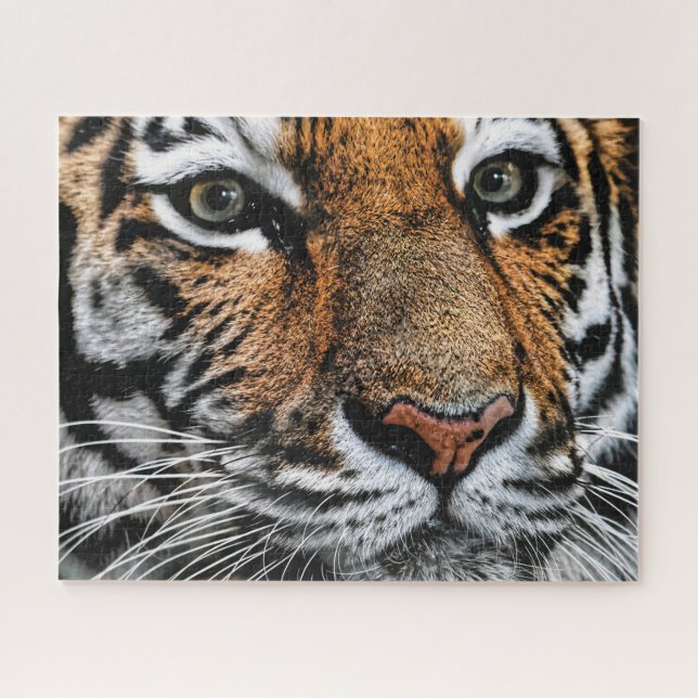 Tiger Face, Jigsaw Puzzle (Horizontal)