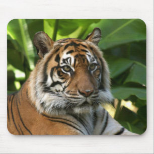 Tiger Face Mousepad