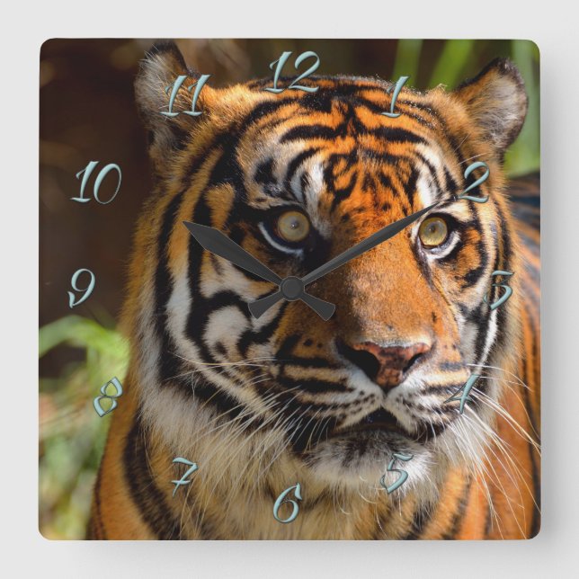 Tiger Face Square Wall Clock (Front)
