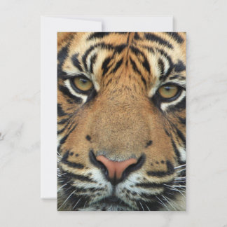 Tiger Face Thank You Card