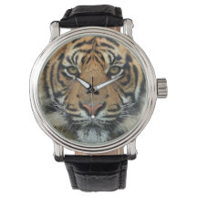 Tiger Face