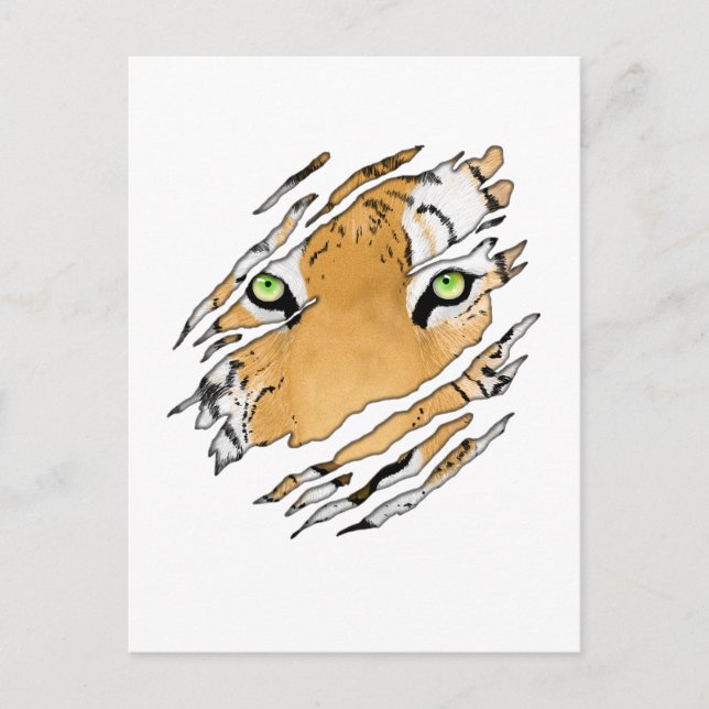 Tiger Face Wildlife Art Postcard (Front)