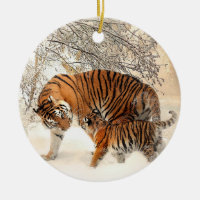 Tiger family in winter