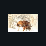 Tiger Family in Winter Landscape Canvas Print<br><div class="desc">Tiger Family in Winter Landscape Canvas Print.</div>