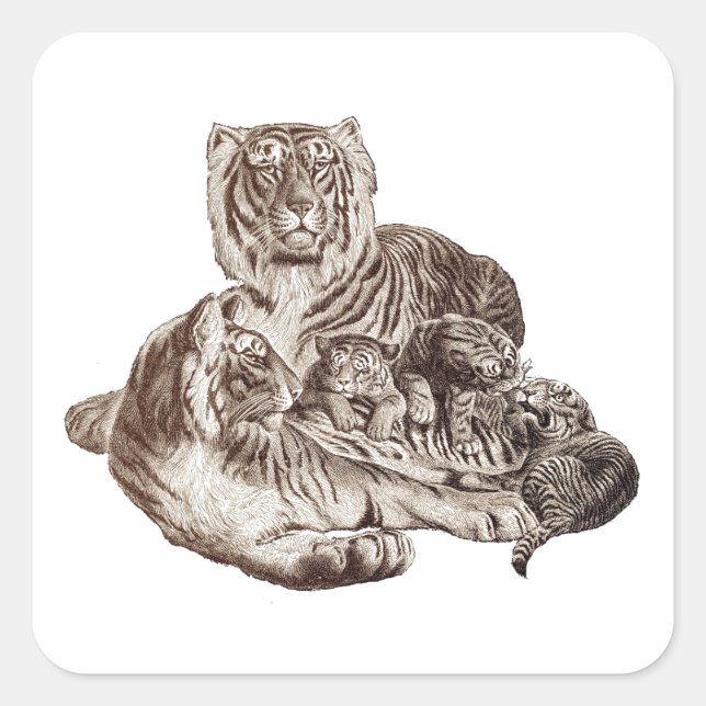 Tiger Family Square Sticker (Front)