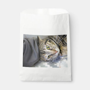 Tiger Favour Bags