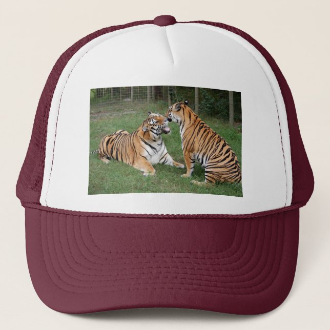 Tiger Friends-007 Trucker Hat (Front)
