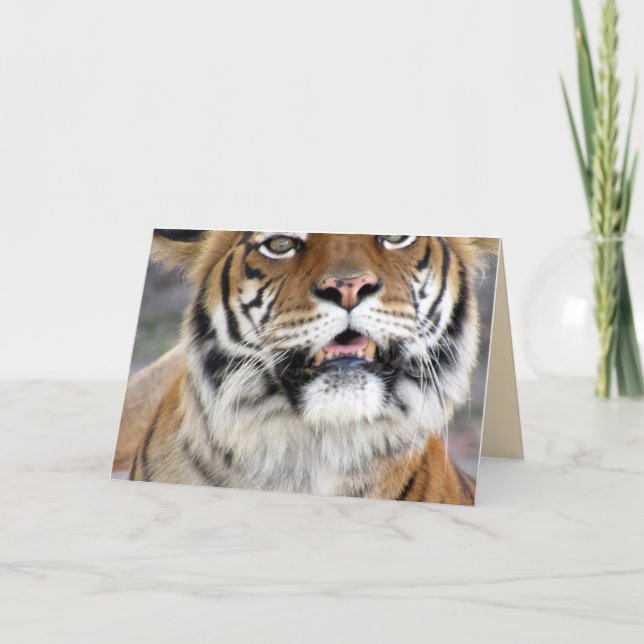 Tiger  Greeting Card (Front)