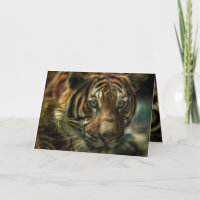 TIGER GROUND ZERO