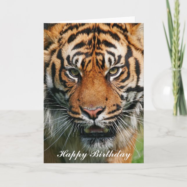 Tiger - Happy Birthday Greeting Card (Front)