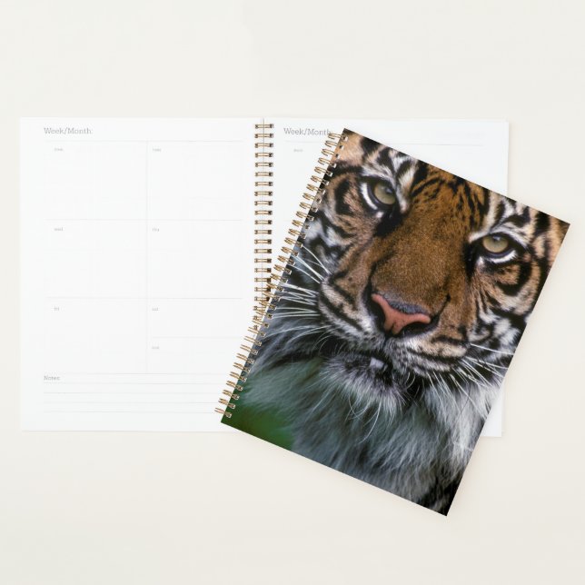 Tiger Head and Face Planner (Display)