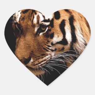 Tiger Heart Sticker