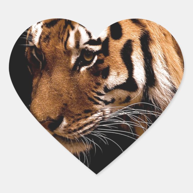Tiger Heart Sticker (Front)