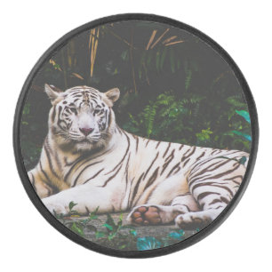Tiger Hockey Puck