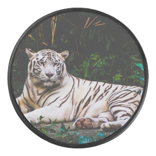 Tiger Hockey Puck (Front)