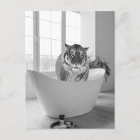 Tiger in Bathtub Black White Bathroom art