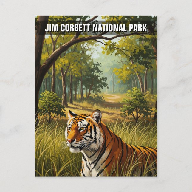 Tiger in Jim Corbett National Park Postcard (Front)