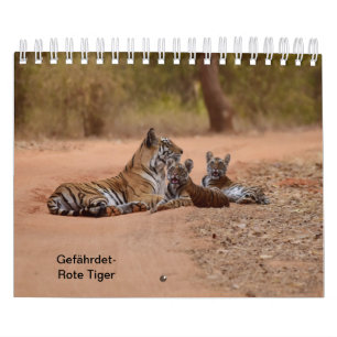 Tiger in red as calendar