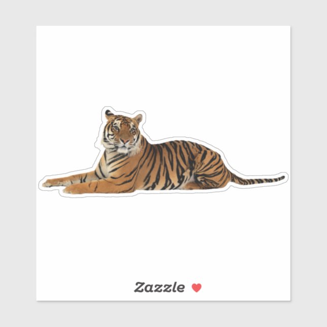 Tiger in Repose (Sheet)