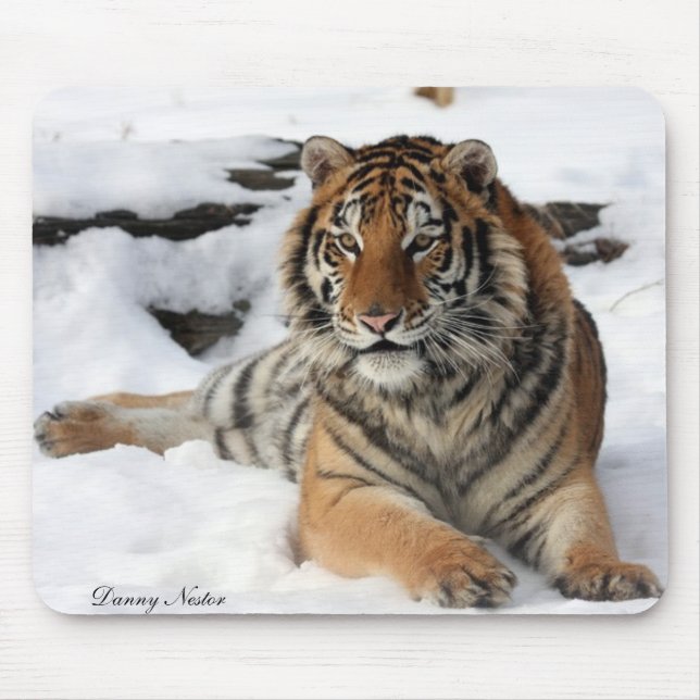 Tiger in Snow Mouse Pad (Front)