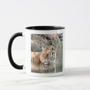 Tiger in stream mug