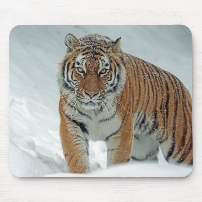 Tiger in the snow mouse pad (Front)