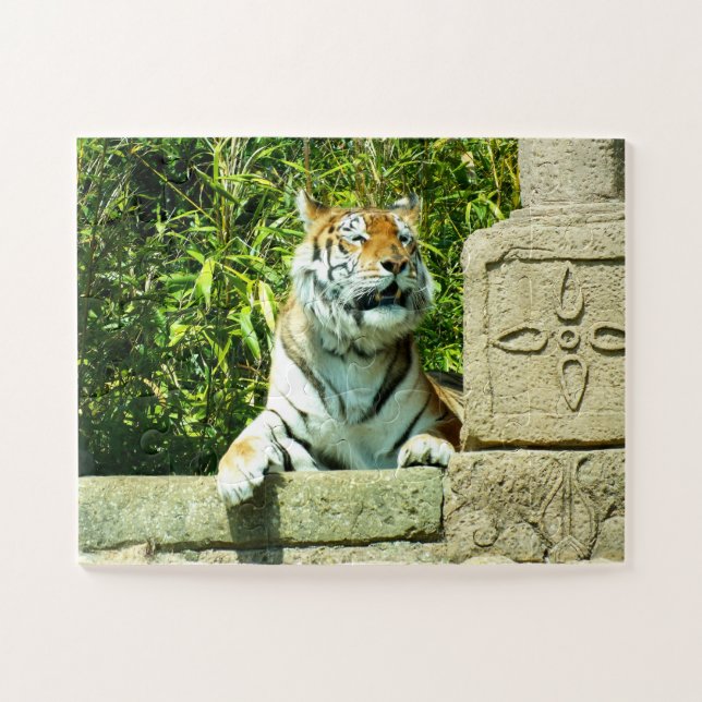 Tiger in the temple jigsaw puzzle (Horizontal)