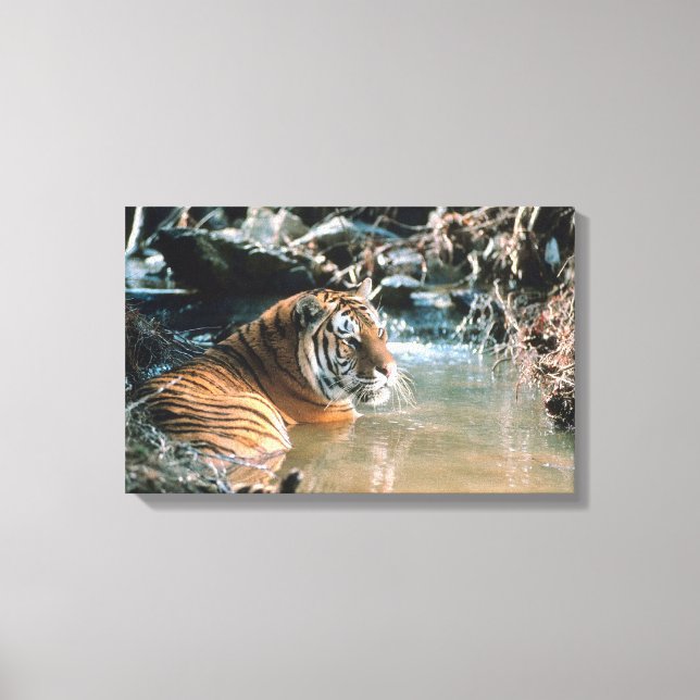Tiger in water 2 canvas print (Front)