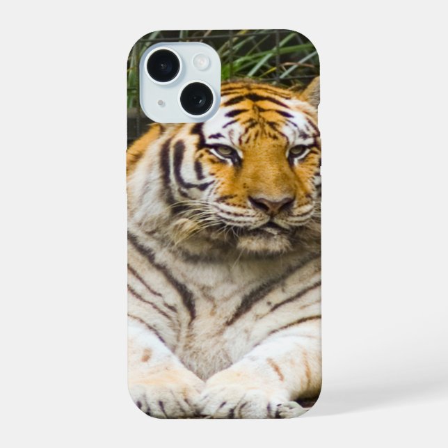 Tiger iPhone 15 Case (Back)