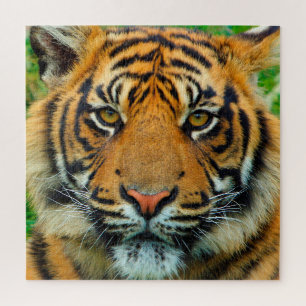 Tiger Jigsaw Puzzle