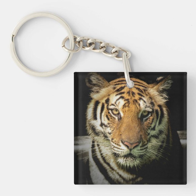 tiger key ring (Front)