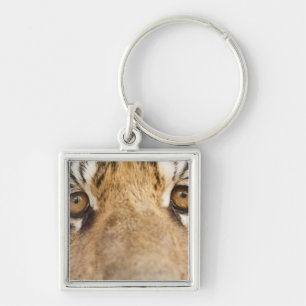 Tiger Key Ring