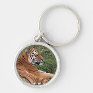 Tiger Keychain
