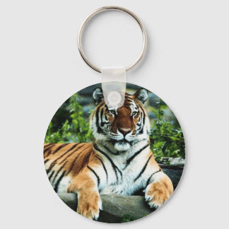 Tiger Keychain