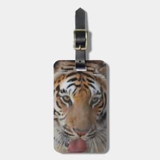 Tiger Kisses Luggage Tag