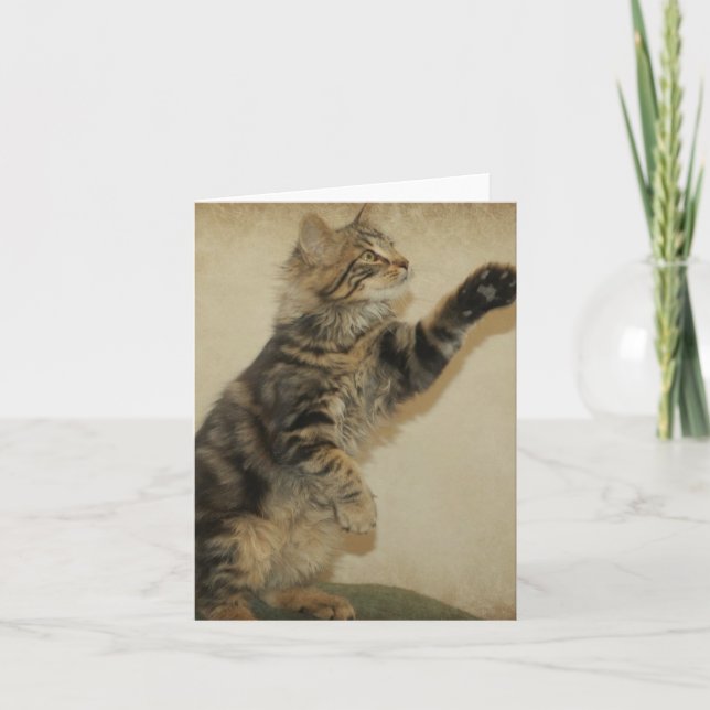 Tiger Kitten Notecard - Playing (Front)