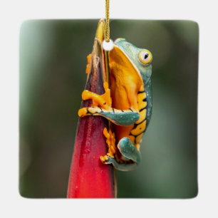 Tiger Legged Monkey Tree Frog Green Orange Ceramic Ornament