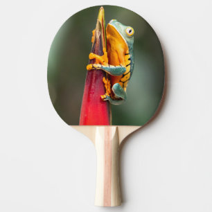Tiger Legged Monkey Tree Frog Green Orange Ping Pong Paddle