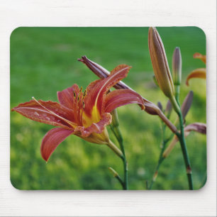 Tiger Lilies Mouse Pad