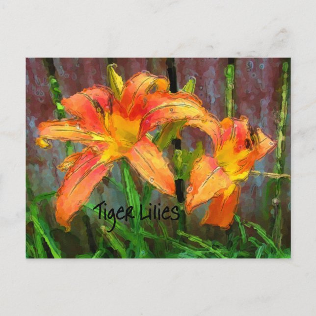Tiger Lilies Postcard (Front)