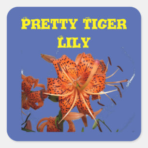 Tiger Lilies stuck on blue Bloom love for a Filly Square Sticker