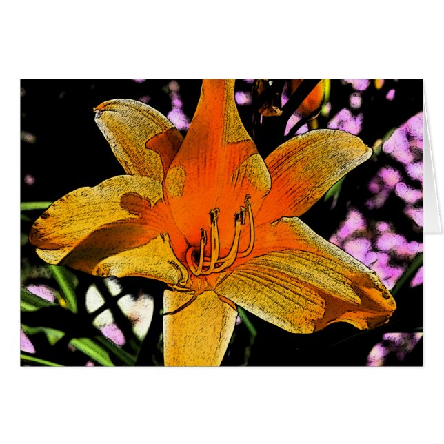 Tiger Lilly 2 (Front Horizontal)